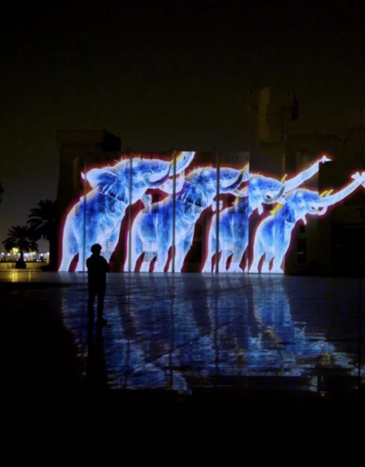 Tigrelab_Jungle_Projection_Mapping_15
