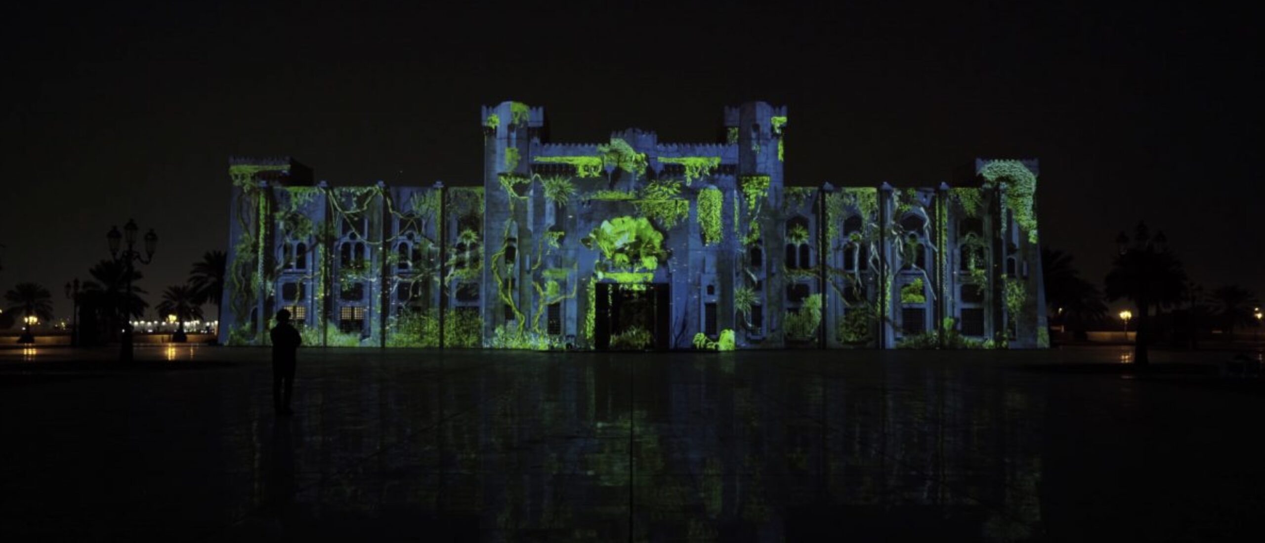 Tigrelab_Jungle_Projection_Mapping_06
