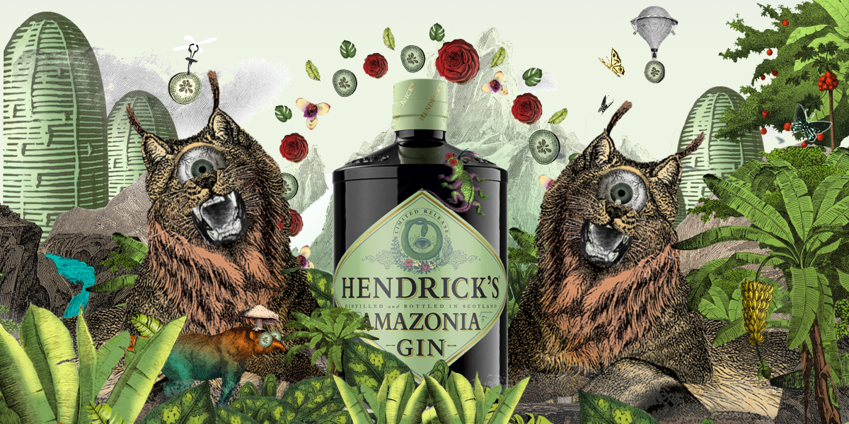 Hendricks Amazonia